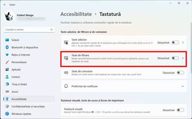 Rubrica Taste de filtrare din secÈ›iunea Accesibilitate a Windows 11