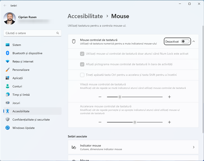 Activarea Tastelor Mouse