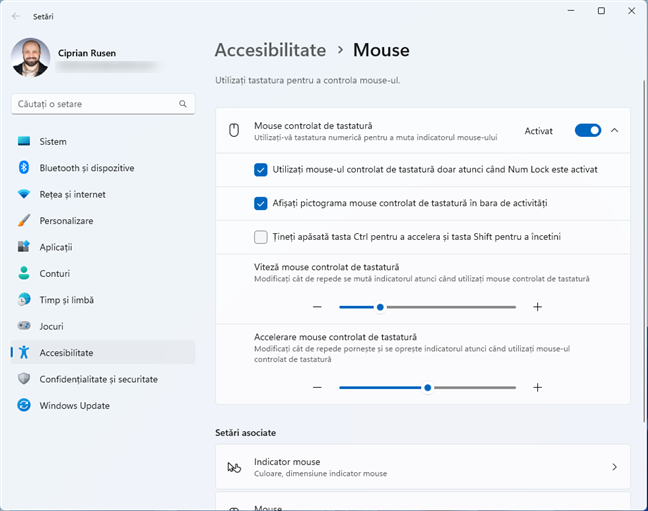 Configurarea Tastelor Mouse Ã®n Windows 11