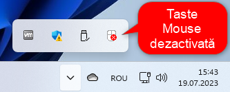 Pictograma Taste Mouse din Windows 11