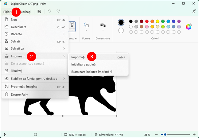 Imprimarea imaginii din Paint