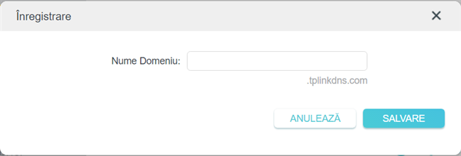 Introdu numele pentru domeniul DDNS