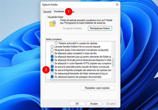 Cum faci ca Windows 11 să afișeze fișierele protejate ale sistemului de operare