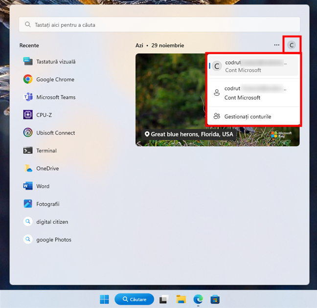 Schimbă contul folosit de Căutarea din Windows 11