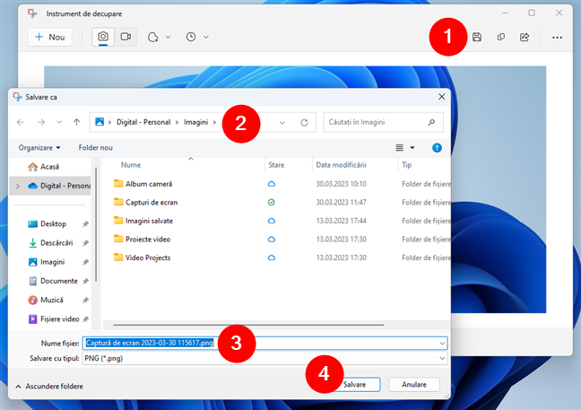 Salvarea unei capturi de ecran cu Instrumentul de decupare