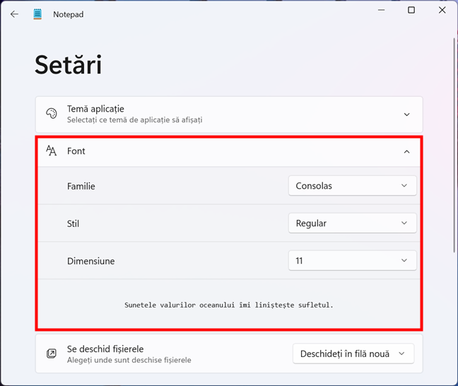 SetÄƒrile de font din Notepad Ã®n Windows 11