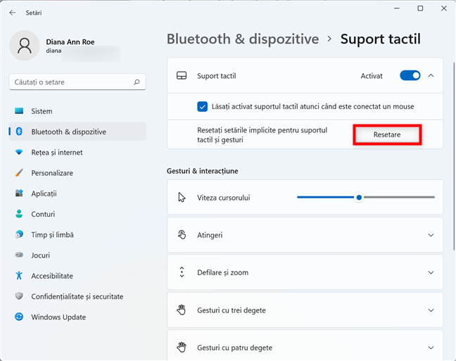 ReseteazÄ setÄrile touchpadului din Windows 11