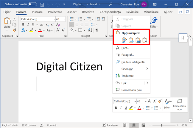 Opțiuni lipire în Microsoft Word