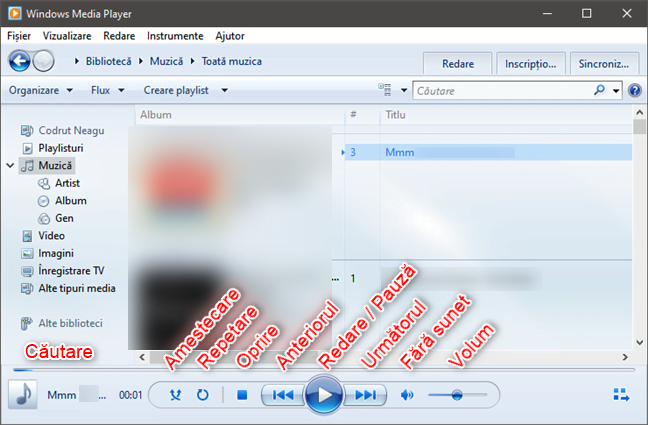 Windows Media Player: Controale redare muzicÄƒ