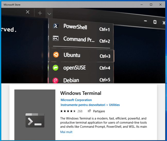 Windows Terminal Ã®n Microsoft Store