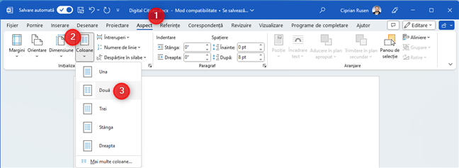 SeteazÄ Word sÄ foloseascÄ douÄ coloane