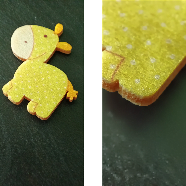 Camera macro poate face poze de la o distanÈÄ foarte micÄ de subiect